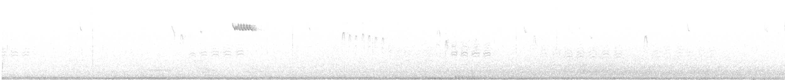 Brown Creeper - ML646881304