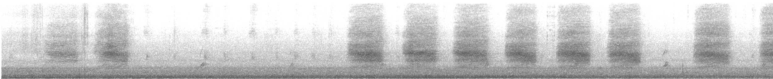 Geai de Steller - ML646881576