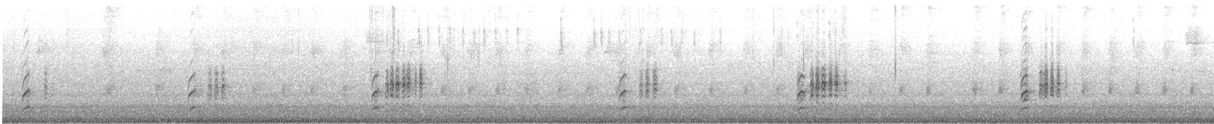 Grive à dos olive (groupe ustulatus) - ML646881579