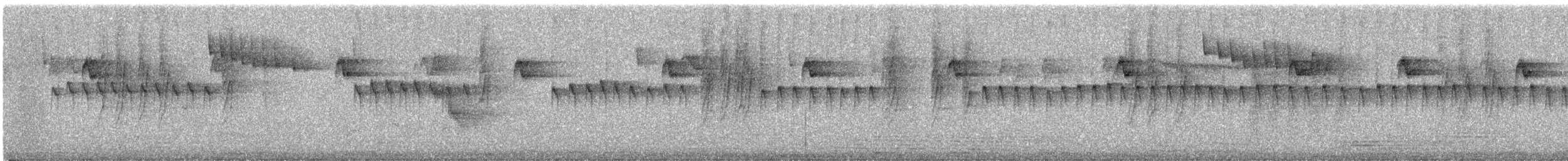 souimanga sp. - ML646881670