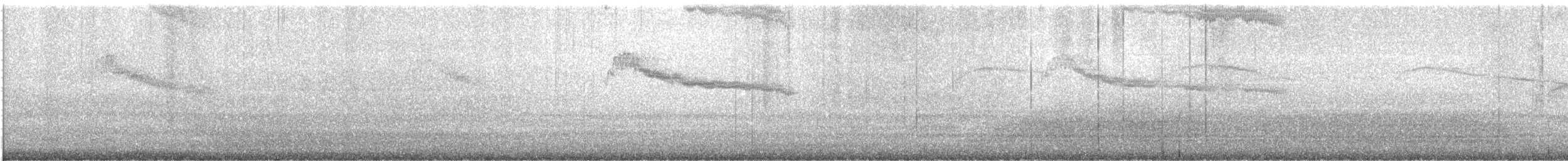 Pigeon Guillemot - ML646881931