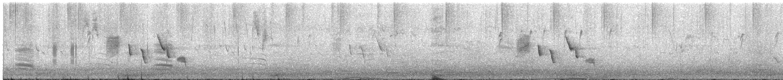 Brown Thornbill - ML646882874