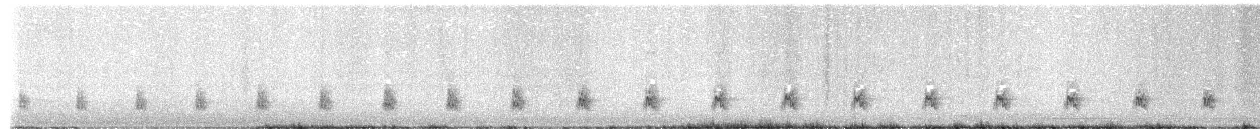 Subantarctic Snipe - ML646883168