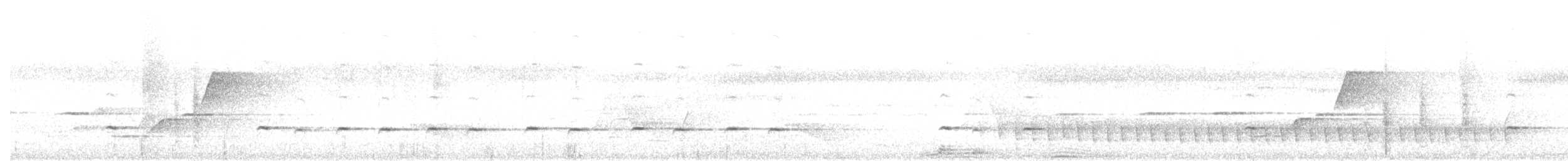 Gray-headed Robin - ML646883600