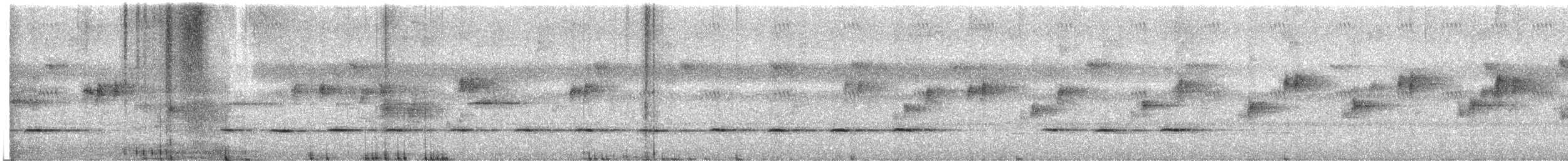 Gray-headed Robin - ML646883940