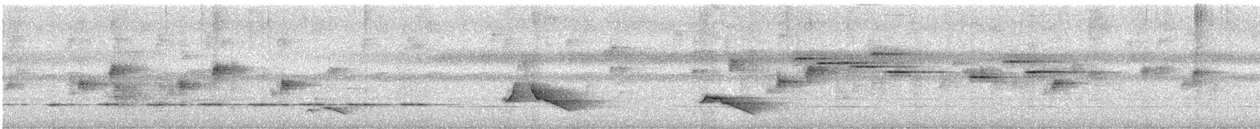 Black-faced Monarch - ML646884189