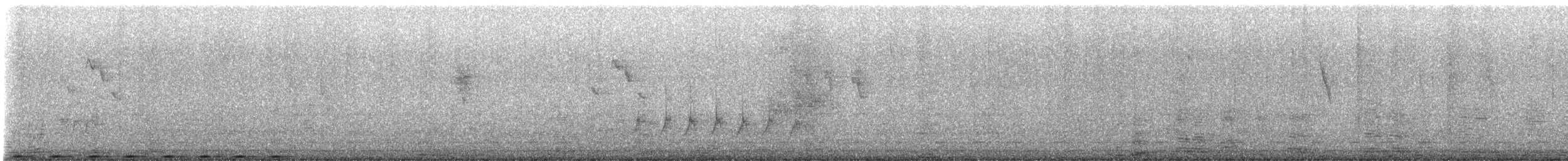 kukačka bažantí [skupina phasianinus] - ML646884504