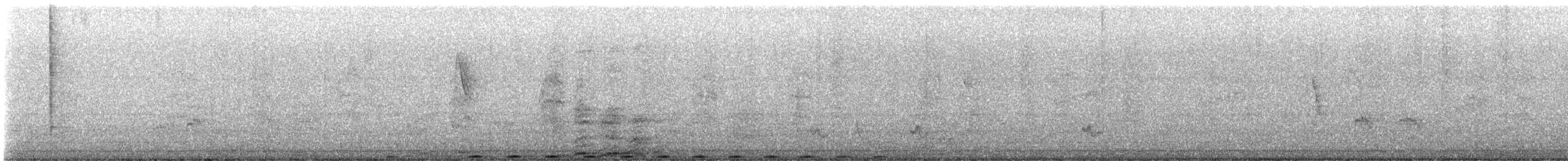 kukačka bažantí [skupina phasianinus] - ML646884505