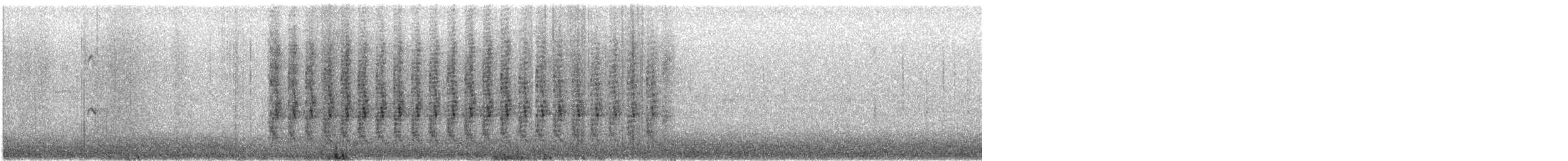 sojka Stellerova [skupina diademata] - ML646884712