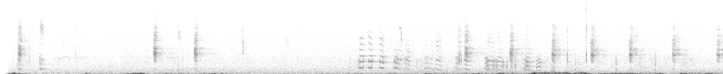 chřástal kalifornský (ssp. yumanensis) - ML646884729