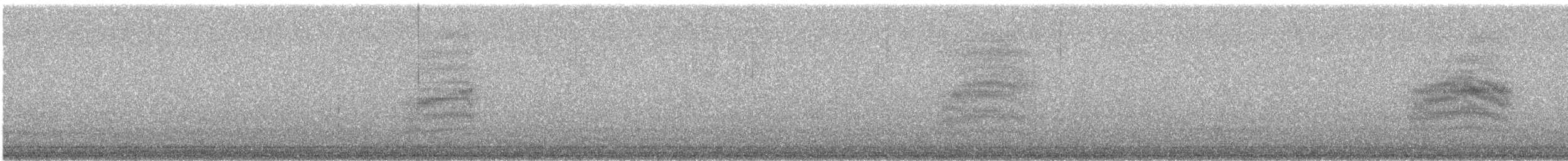 Spotted Towhee - ML646884822