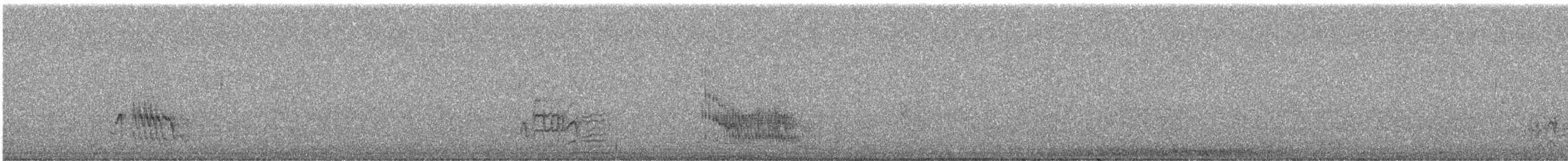 palmovník tmavý - ML646884948