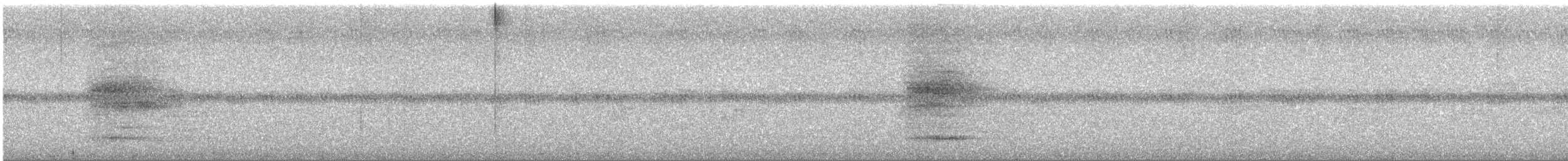 Tooth-billed Bowerbird - ML646885028