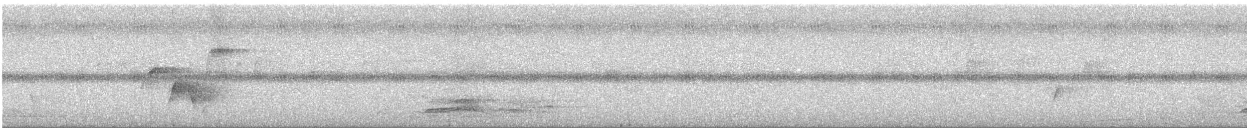 Gelbbauch-Dickkopf [pectoralis-Gruppe] - ML646885122