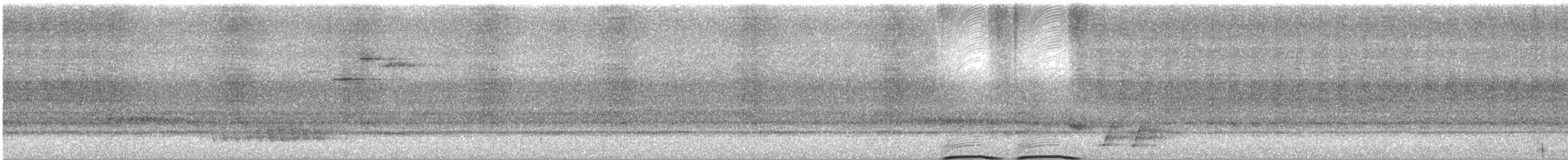 Graurücken-Dickkopf - ML646885310