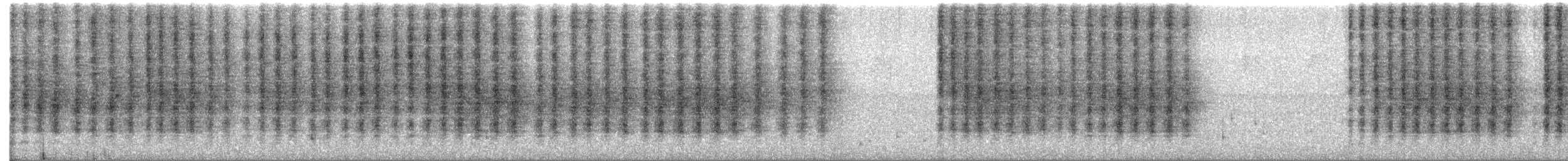 Gelbkehlsericornis - ML646885376