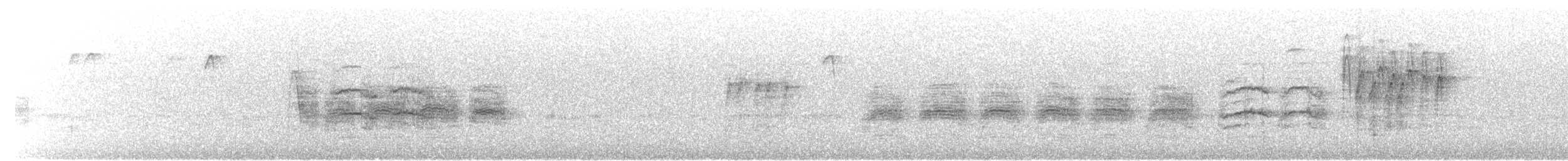 Gebirgsmeise - ML646885577