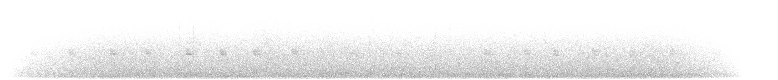 střízlík kaňonový - ML646885760