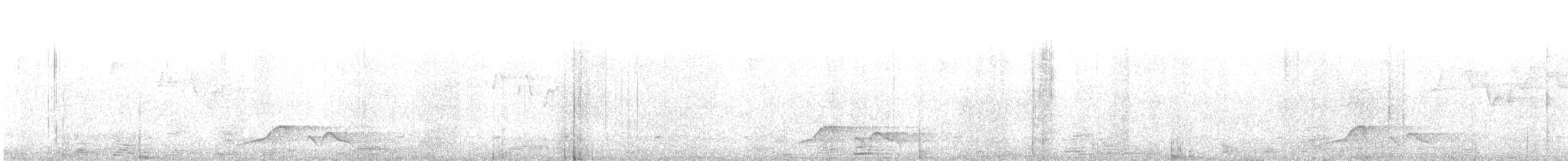 Silver-eared Laughingthrush - ML646886140