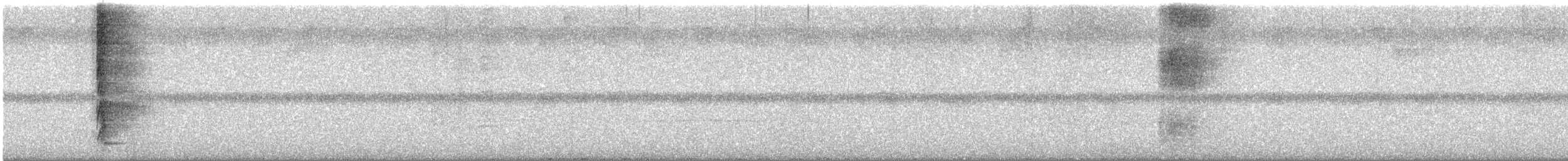 Bower's Shrikethrush - ML646886358