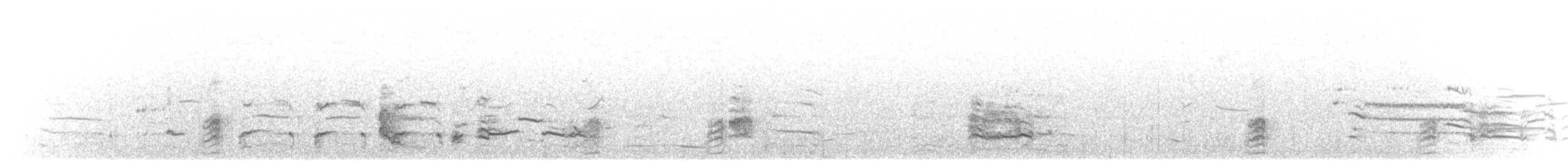 čírka obecná - ML646886528