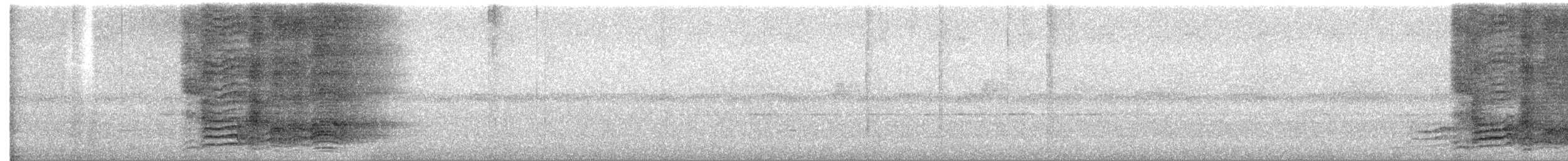 lemčík kropenatý - ML646886570