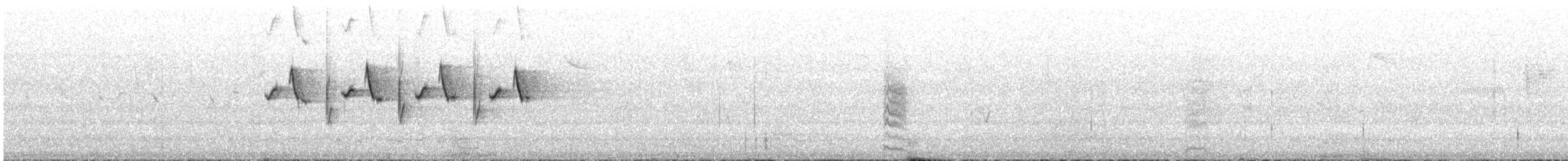 květozob vlaštovčí - ML646886642