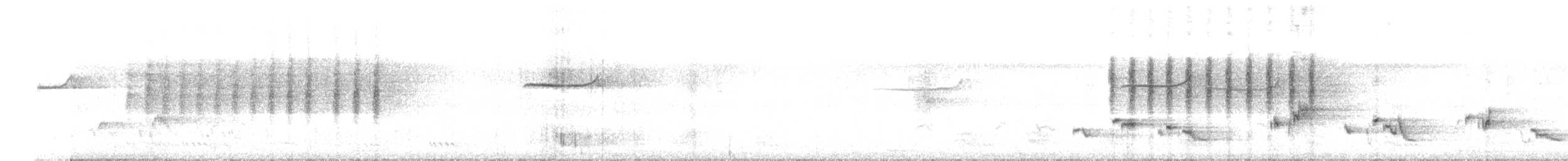 Brown Shrike - ML646886881