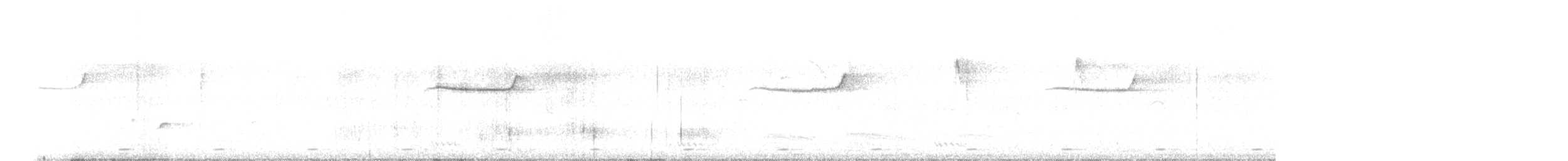 Сорочий шама - ML646887253