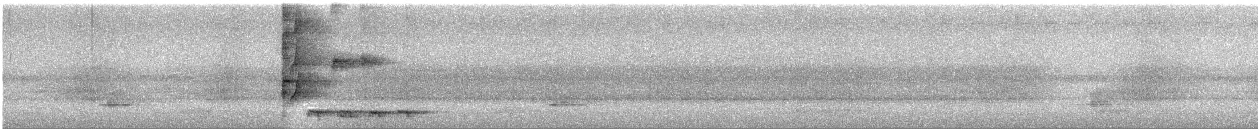 Нявкун строкатоволий - ML646887990