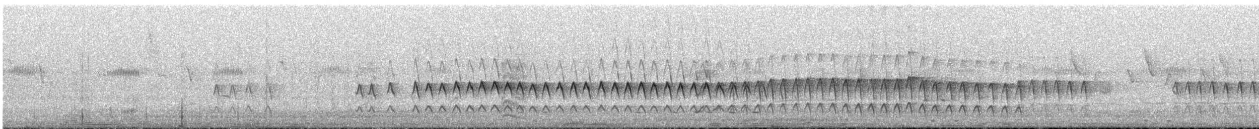 White-plumed Honeyeater - ML646888313