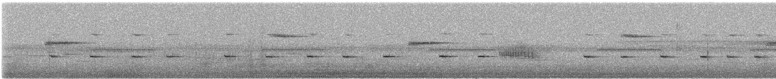 Little Pied Flycatcher - ML646888482