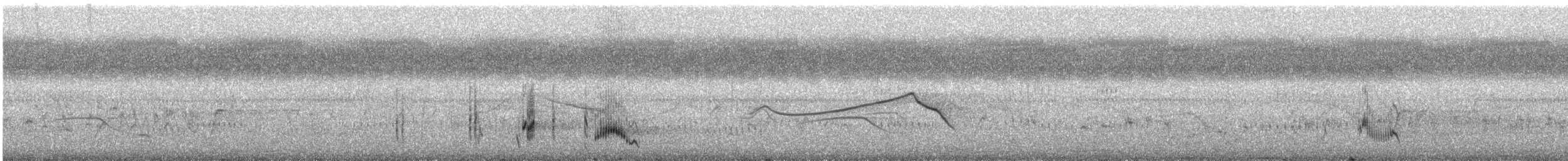 Striated Grassbird - ML646888596