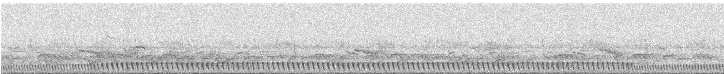 Square-tailed Nightjar - ML646888848