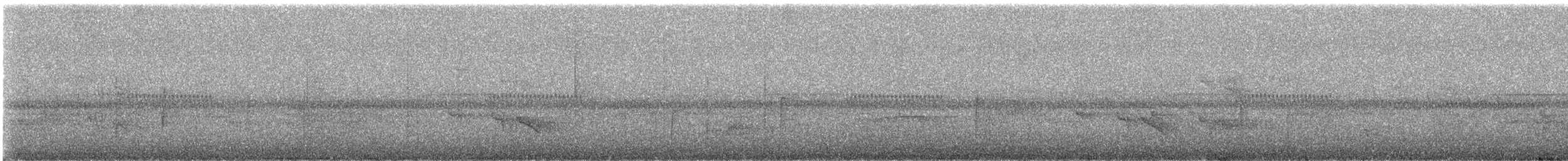 Pied Shrike-Babbler - ML646888871