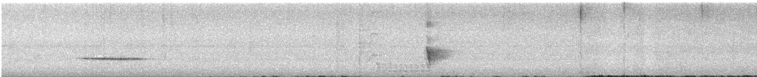 Bower Islıkçıardıcı - ML646889433