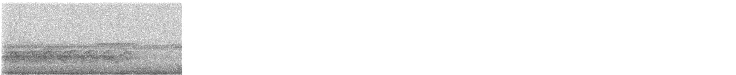 Spotted Crocias - ML646889617