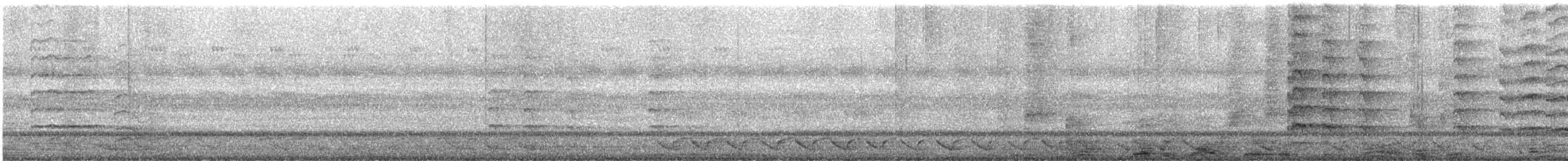 Red-wattled Lapwing - ML646889652