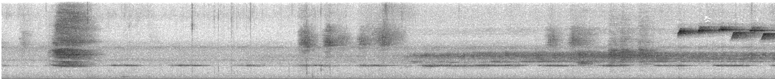 Bower's Shrikethrush - ML646889746