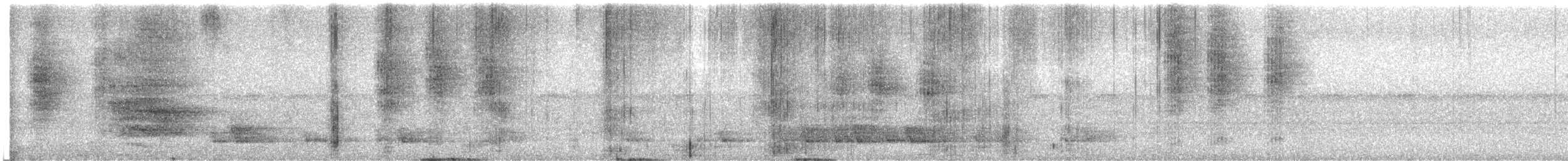 Australian Spectacled Monarch (Eastern) - ML646889959