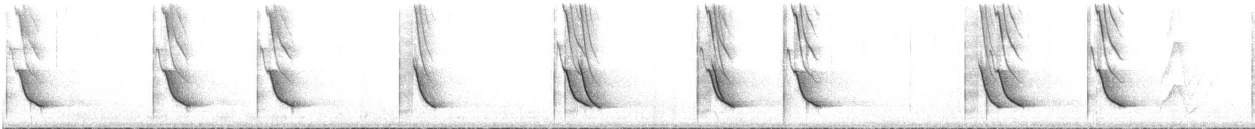 White-collared Jay - ML646890100