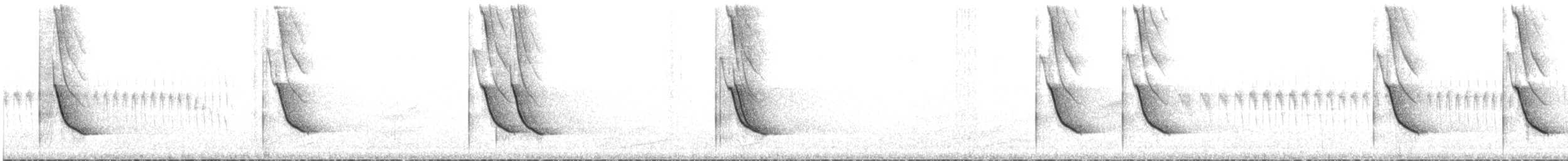 White-collared Jay - ML646890103