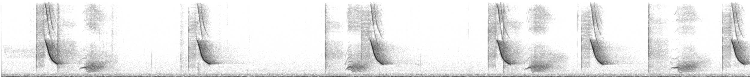 White-collared Jay - ML646890104