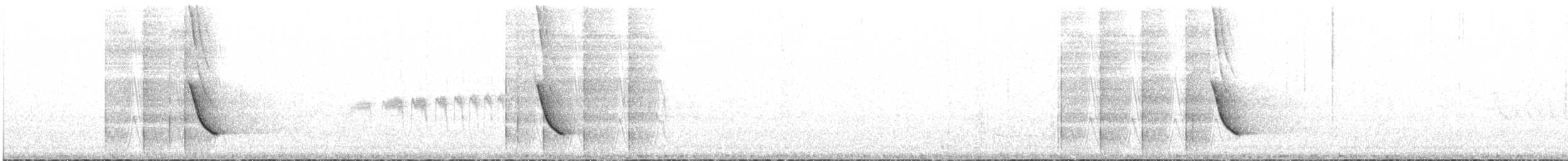 White-collared Jay - ML646890106