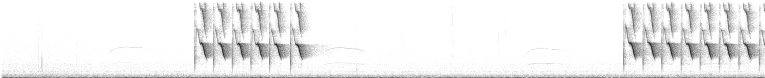 White-collared Jay - ML646890108