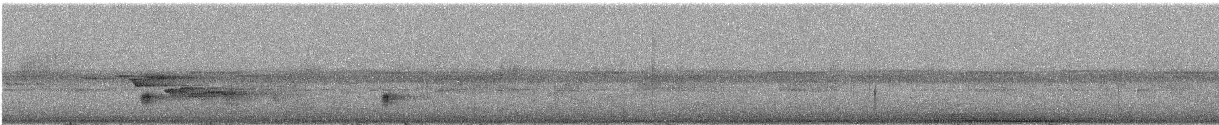 Dollarbird - ML646890657