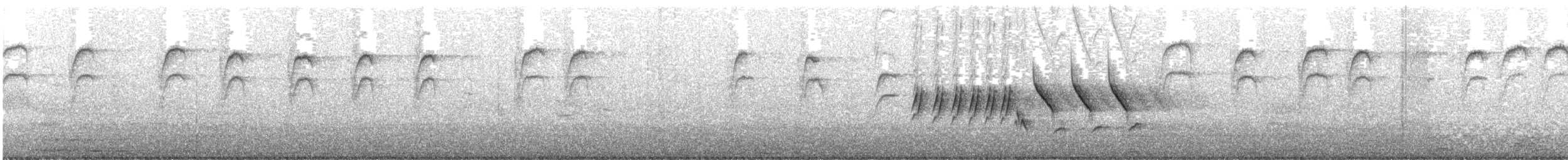 シロハラミソサザイ - ML646890875