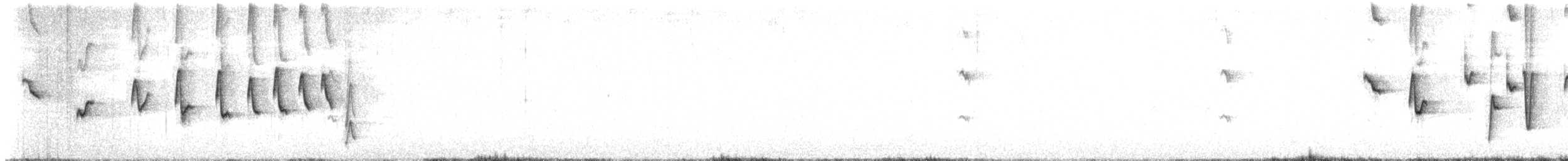 Noisy Scrub-bird - ML646891437