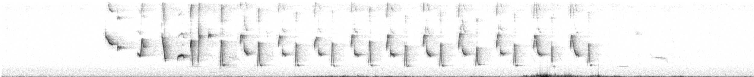 Noisy Scrub-bird - ML646891438