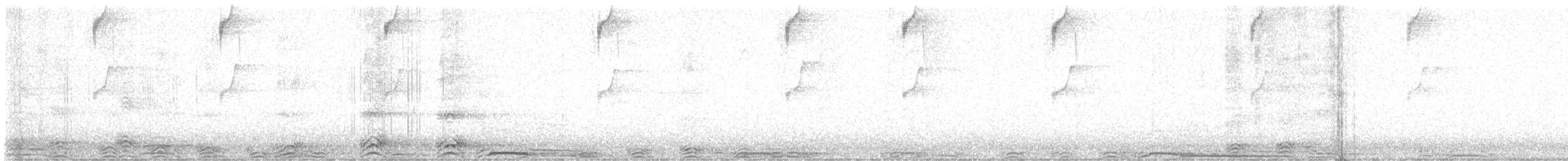 Barred Owl - ML646891554